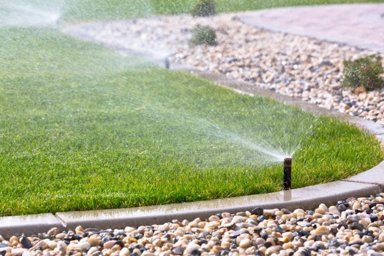 How Often Should I Water My Lawn in Florida