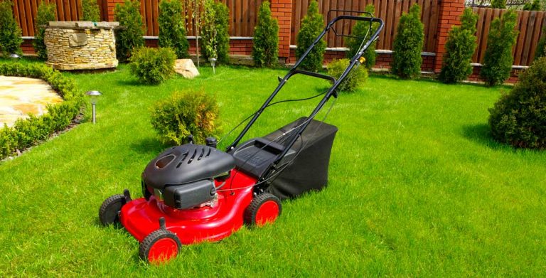 How to Choose the Best Gas Can for Lawn Mower