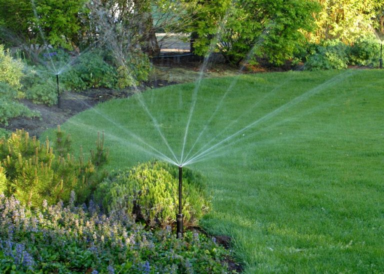 The Ultimate Lawn Watering Guide for Florida