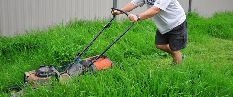 Can You Be Fined for Not Mowing Your Lawn