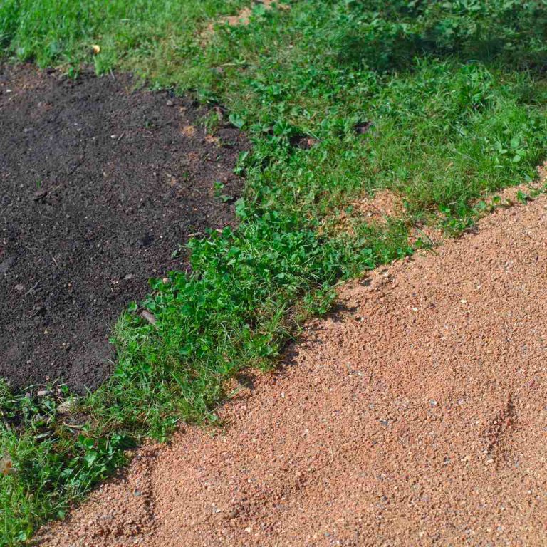The Best Type of Sand for Lawns