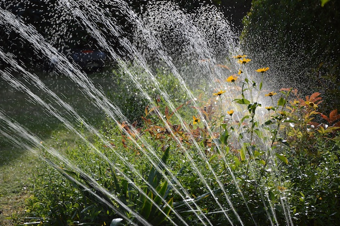 How Often Should You Water Your Lawn in Oklahoma City