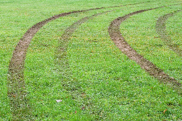 How to Fix Tire Ruts in Your Lawn