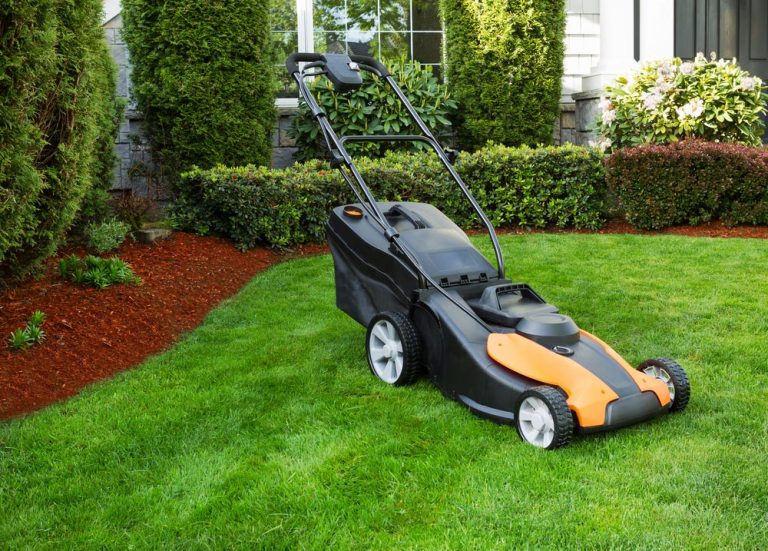 How to Clean an Electric Lawn Mower