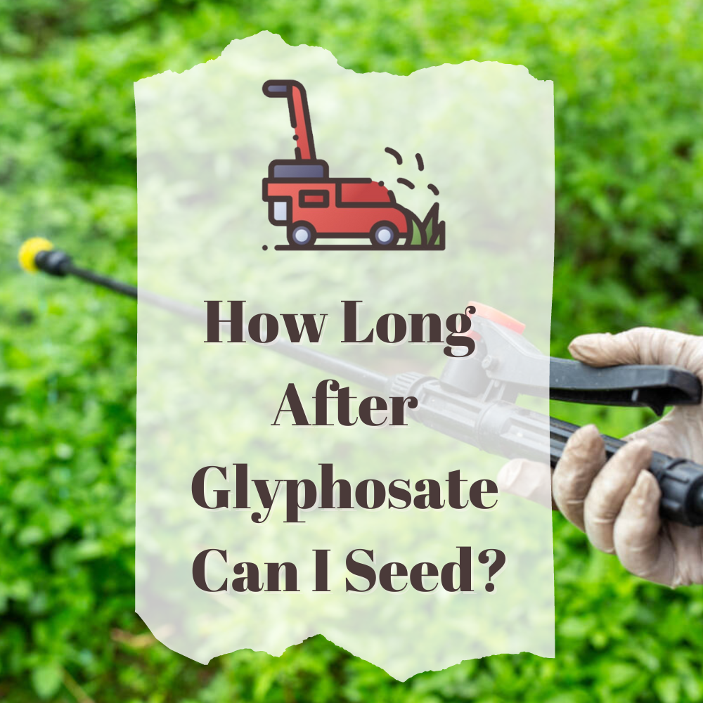 How Long After Glyphosate Can I Seed