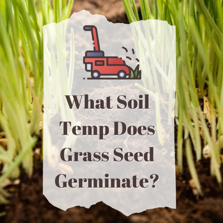 What Soil Temp Does Grass Seed Germinate