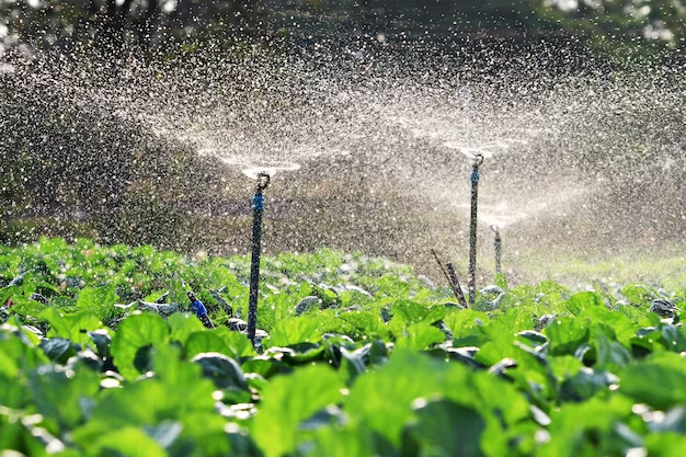 How Long Should You Run Sprinkler Zones